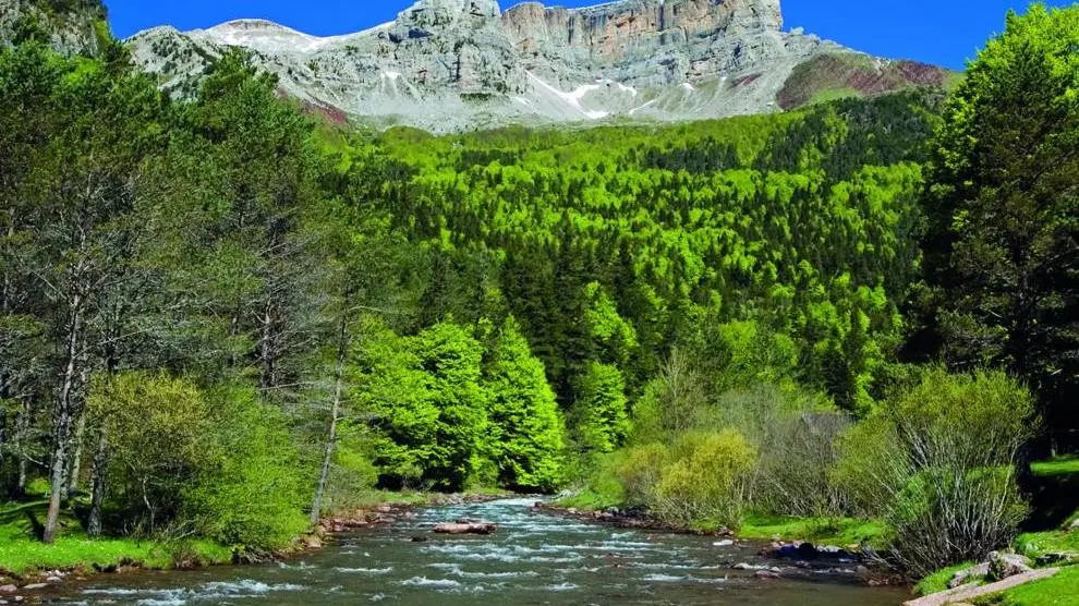 La Selva de Oza se enmarca dentro del Parque Natural de los Valles Occidentales de La Jacetania.