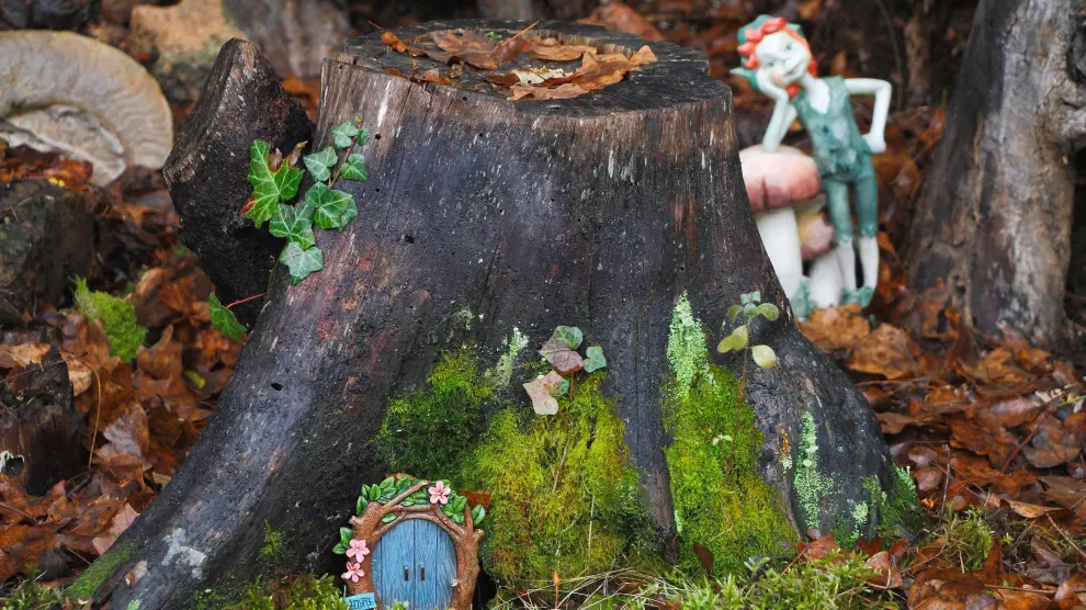 El duende de los sueños fue la primera figura que apareció misteriosamente en el bosque.