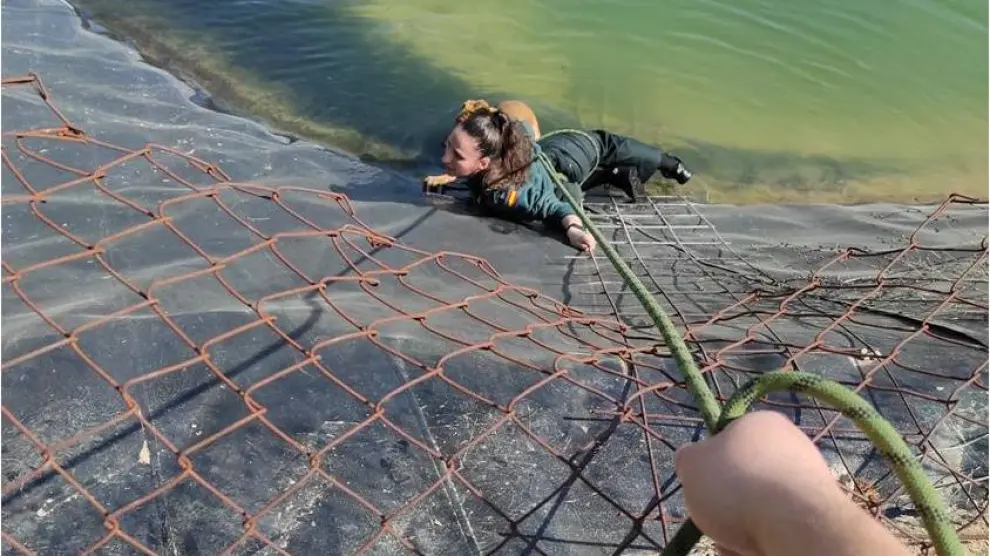 La Guardia Civil rescata a un perro atrapado en una balsa de agua en Maella