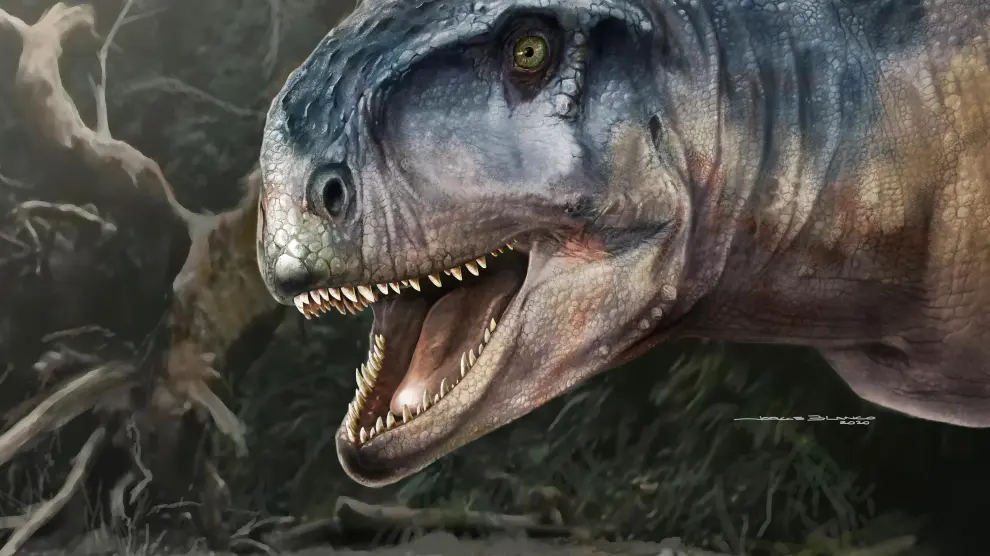Nueva especie de dinosaurio carnívoro, Llukalkan aliocranianus, descubierta en Argentina.