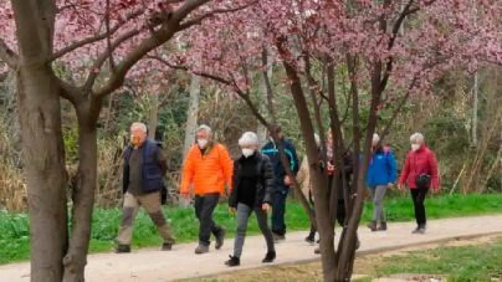 Las quedadas activas para mayores de 55 años congregan a 70 personas por andada