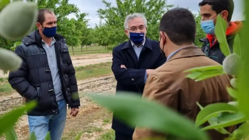 El consejero de Agricultura con jóvenes agricultores de la localidad zaragozana de Fayón.