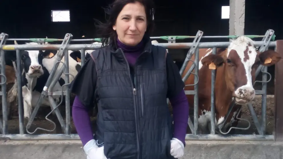 La veterinaria Mónica Espada junto a vacas frisonas en una explotación ganadera en Tauste.