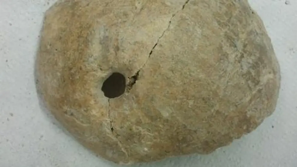 Imagen del cráneo trepanado descubierto en las excavaciones arqueológicas en Tauste.