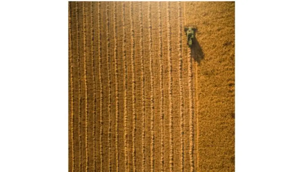 'Geometrías sostenibles', imagen premiada en la modalidad Agricultura Sostenible del certamen Fotciencia