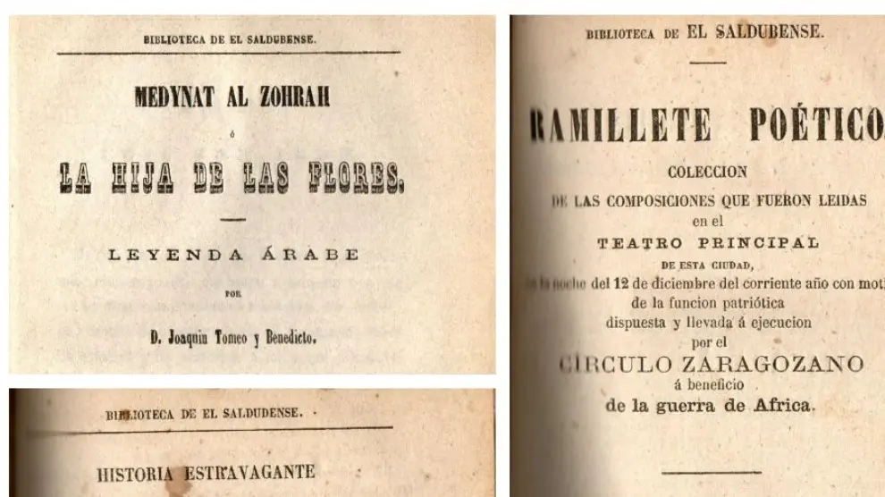 Portadas de publicaciones de la Biblioteca de El Saldubense