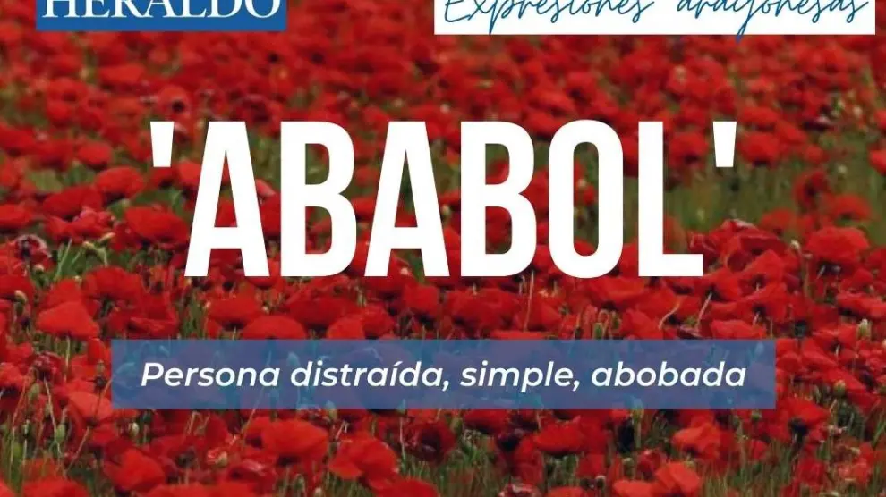Ababol: más que una amapola en Aragón