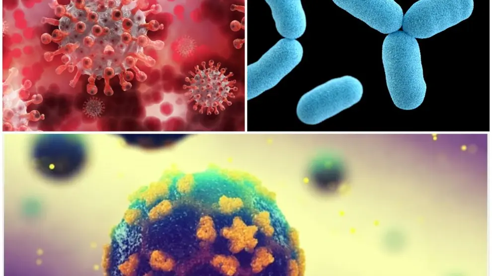Arriba, a la izquierda, virus causante de la covid. Derecha, de la viruela. Abajo, de la poliomielitis