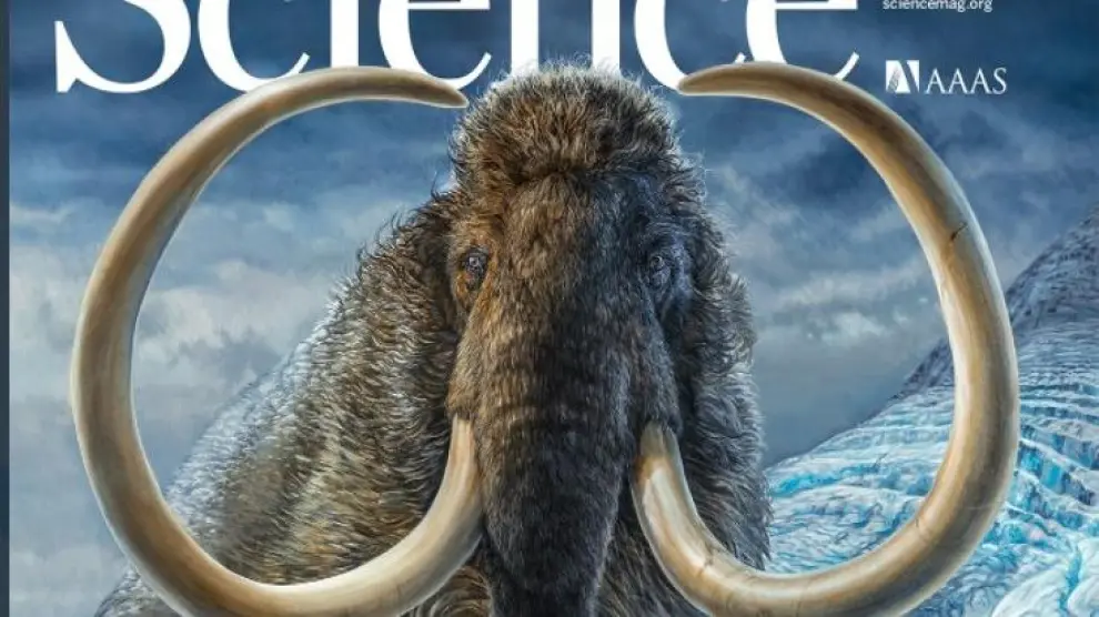 Portada de la revista 'Science' con la investigación sobre el mamut.