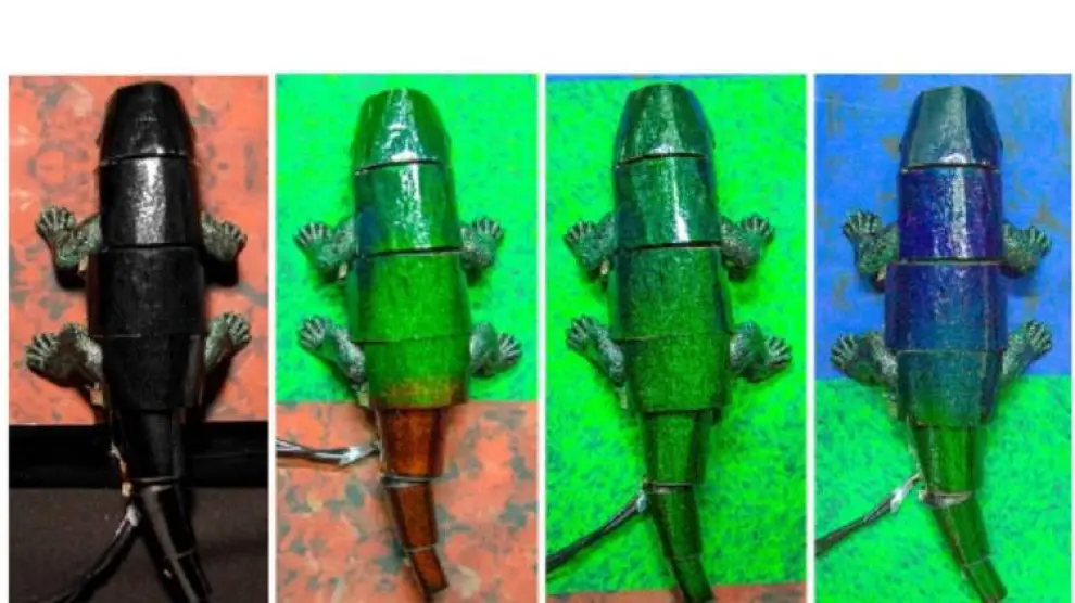 Demostración de la nueva tecnología de camuflaje artificial en el robot camaleón. De izquierda a derecha, el dispositivo apagado, en una mezcla de verde y rojo, solo verde, y azul con verde.