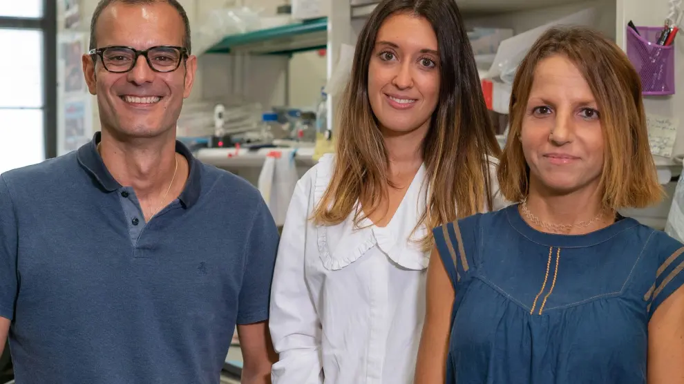 El equipo de investigadores del Instituto de Investigación de Biomedicina (IRB) de Barcelona.
