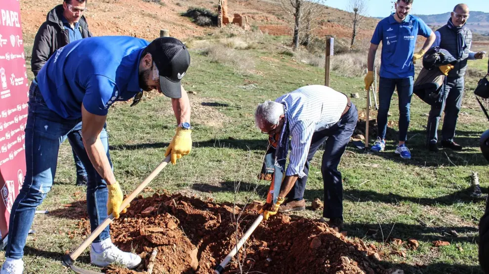 El proyecto de reforestación impulsado por la Fundación Alcoraz e ICT se ha estrena con la plantación de 500 árboles en Calamocha, con la colaboración del CV Teruel