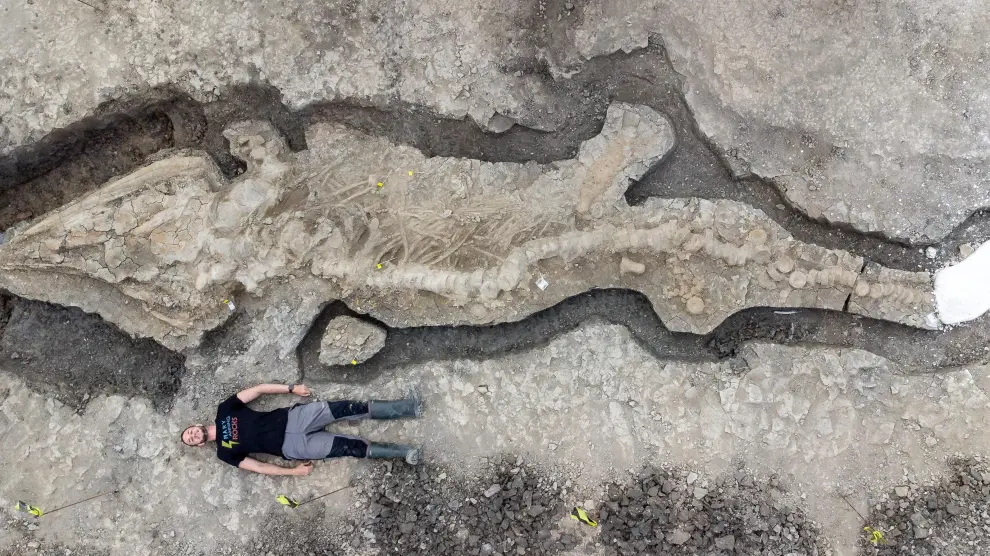 Un hombre posa tumbado junto al fósil del dragón marino encontrado en el lago Rutland, en el Reino Unido.