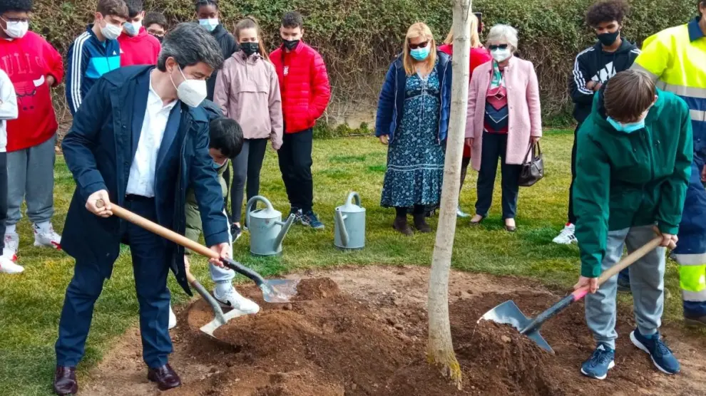 Alumnos del IES Ramón y Cajal de Huesca han plantado el árbol junto al alcalde, Luis Felipe.