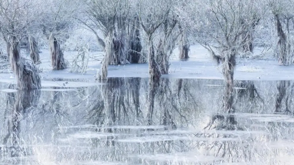 'Lago de hielo', de Cristiano Vendramin, es la imagen ganadora.