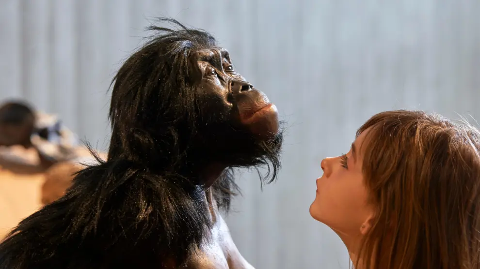 Cara a cara con Lucy, homínida de la especie Australopithecus Afarensis