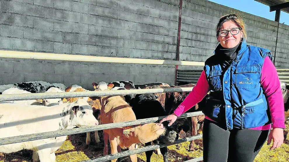 Isabel Atarés, en su explotación de terneros mamones en Curbe.