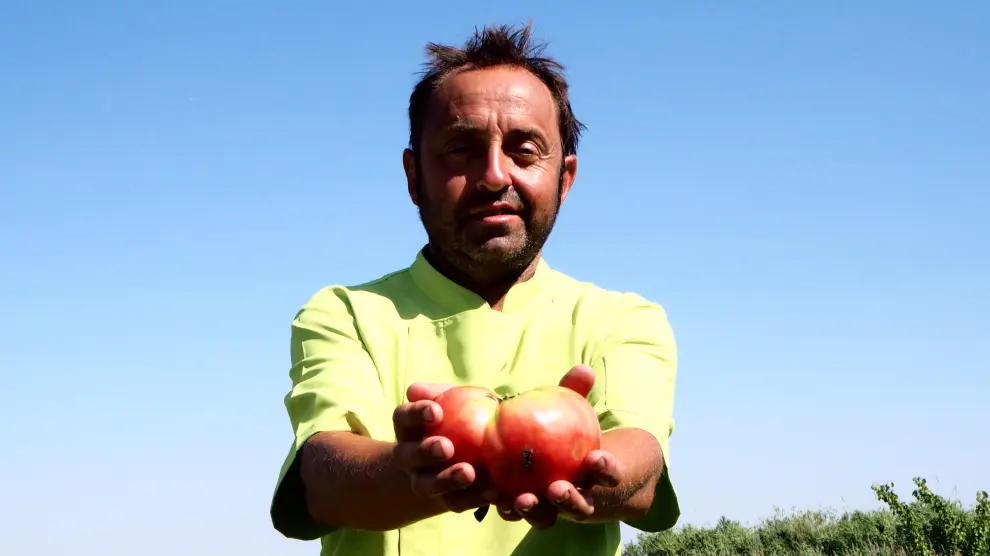 Rafa Gutiérrez muestra tomates en su huerta de Movera.