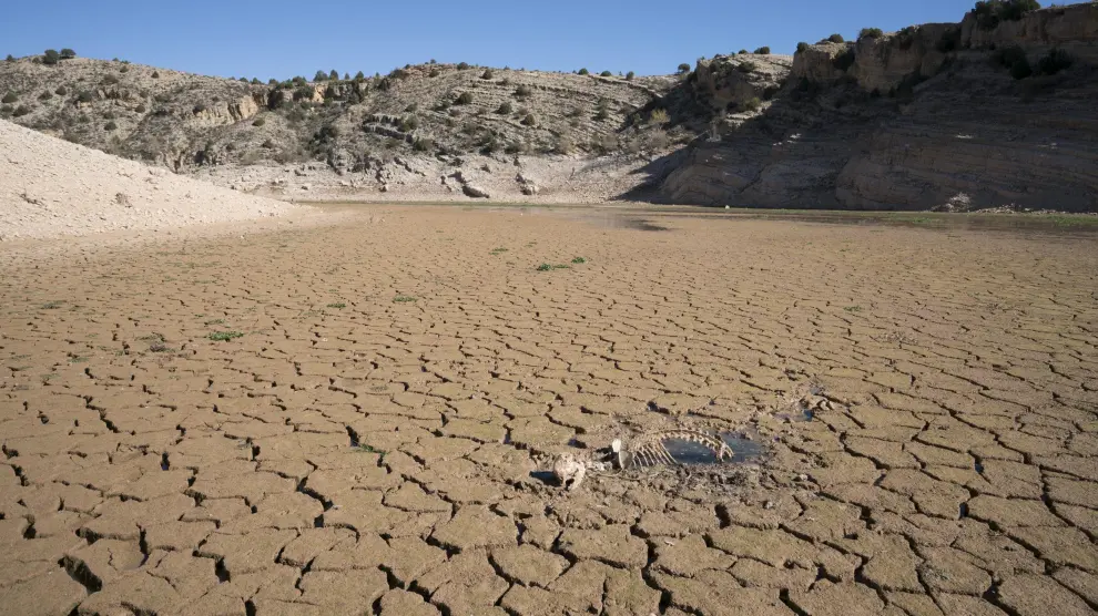 La falta de lluvias y las altas temperaturas agravan la escasez de agua.