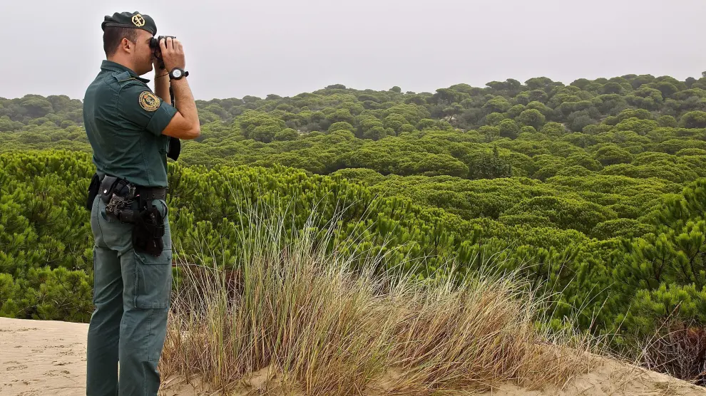 Un agente del Departamento de Protección de la Naturaleza de Doñana vigila este espacio natural, en una imagen de archivo.