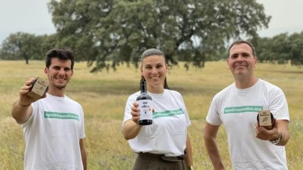 El aceite obtenido de estos olivos ha sigo galardonado con uno de los diez premios BBVA a los mejores productores sostenibles de España