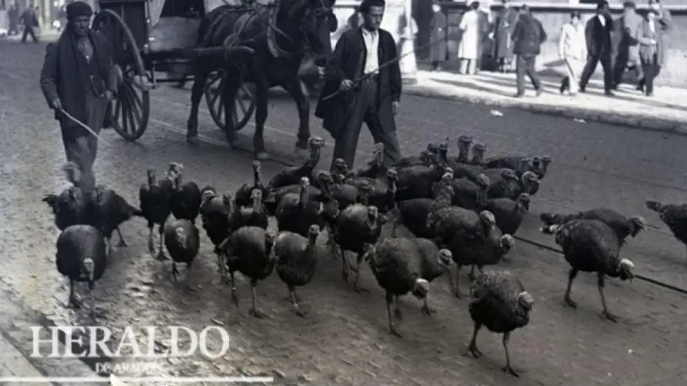 Vendedores de pavos para Navidad pasando por el coso de Zaragoza, frente a la Audiencia Provincial, en los años 30.