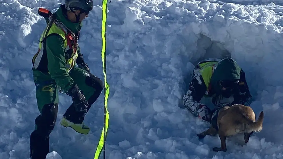 Prácticas de rescates en avalanchas con perros por parte de la Guardia Civil en Panticosa.