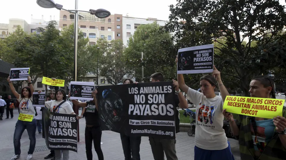 Las protestas de los animalistas contra el maltrato del circo.