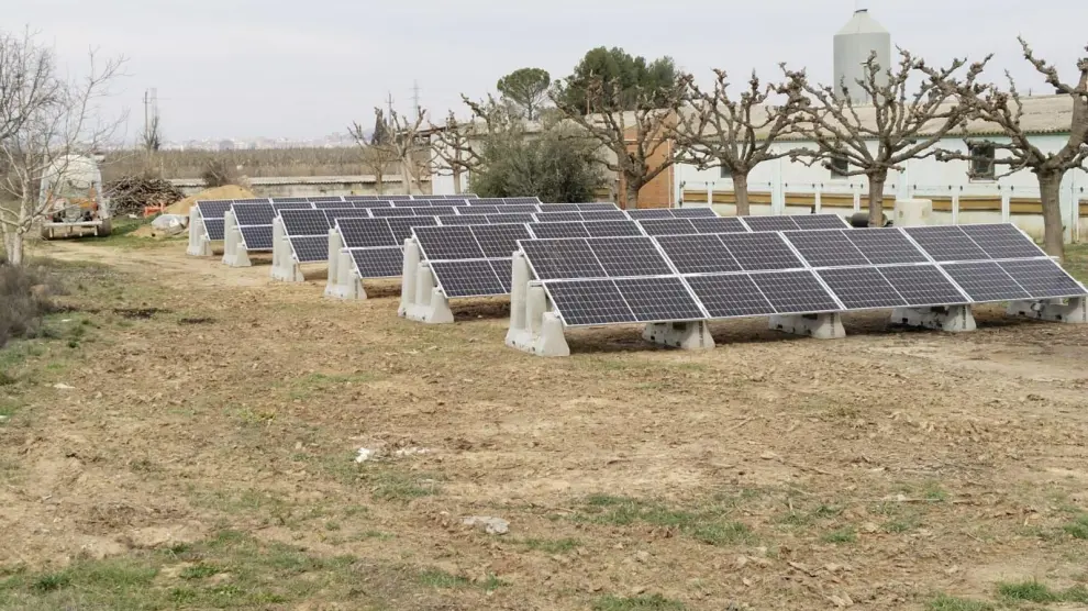 Desde Shibrid apuntan que han percibido un notable aumento en la demanda de instalación de paneles solares en los últimos años.
