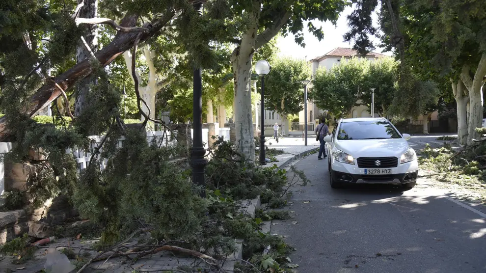 Imagen de archivo de un gran árbol caído en la entrada del parque Miguel Servet de Huesca tras la fuerte tormenta de lluvia y viento de este verano.