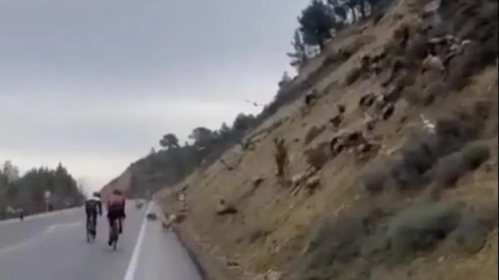 El grupo de ciclistas se encontró con la bandada de buitres en la A-132, entre Riglos y Ayerbe.