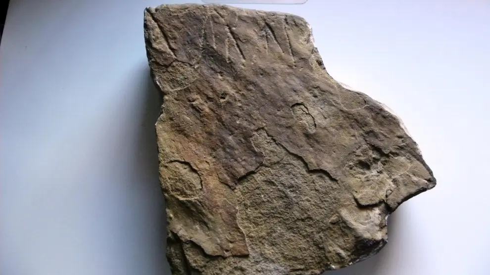 La piedra con la inscripción, una vez extraída.