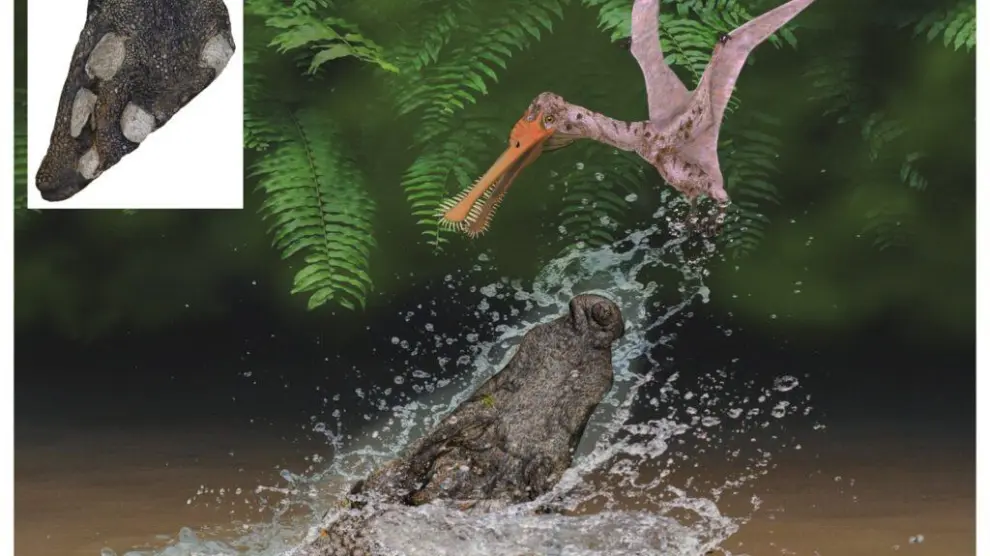 Ilustración que recrea el cocodrilo Ophiussasuchus paimogonectes a partir del fósil hallado en Portugal.