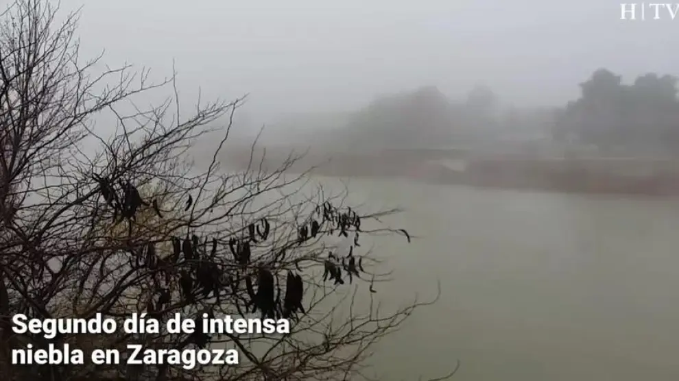 Zaragoza vuelve a despertarse con una intensa niebla