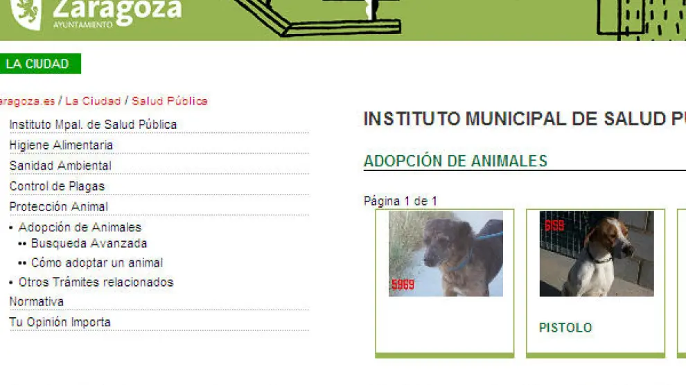 El Ayuntamiento permite la adopción de animales a través de su web