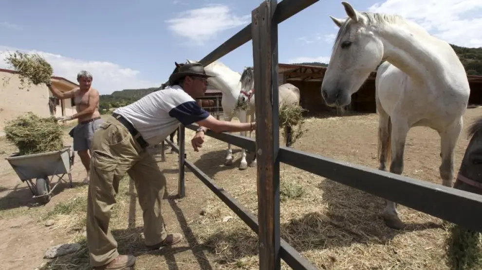 El director del centro ecuestre de Cabra de Mora, Manuel Algarra -en primer término-, y un empleado alimentan a los caballos.