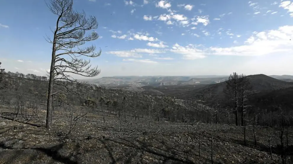 Vista de la zona quemada por el incendio de Aliaga desde el pico de Majamolinos.