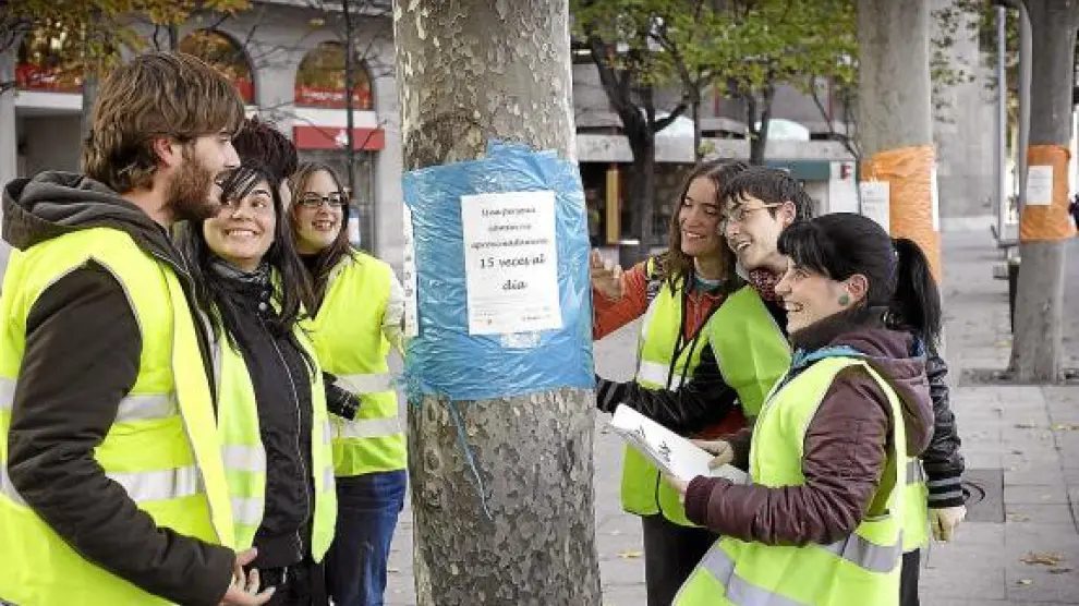 Una veintena de miembros de la asociación Ilógica estuvieron ocho horas decorando los árboles.