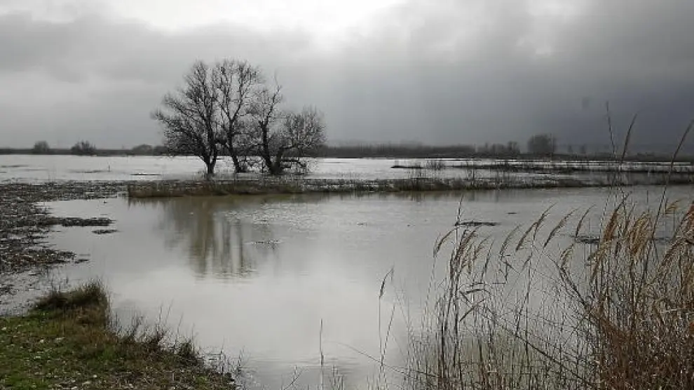 El Ministerio exige estudios de impacto ambiental para poder limpiar el Ebro