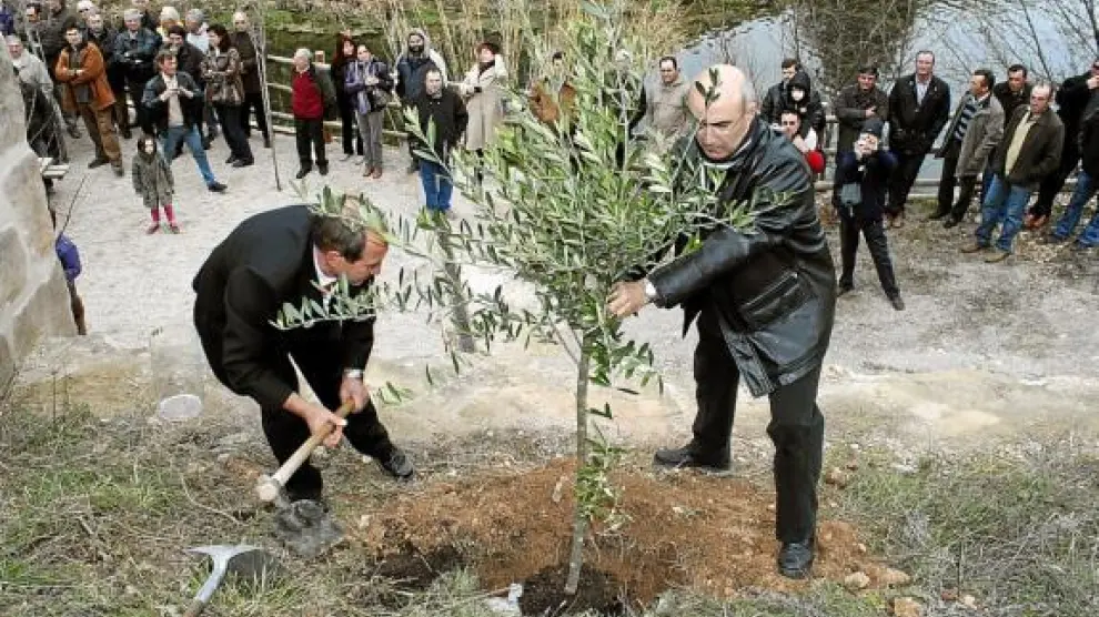 Los vecinos plantaron un olivo, enterrando junto a sus raíces escritos con deseos de futuro