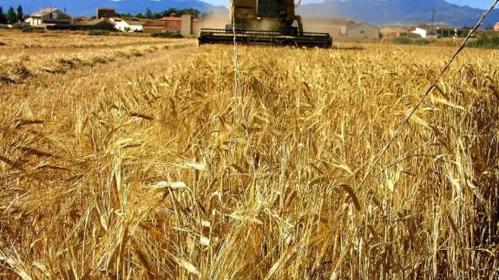 El Gobierno aragonés convoca 150.000 euros en subvenciones para el sector agroalimentario