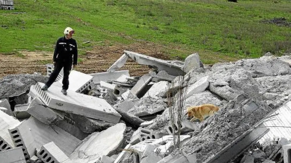 Un bombero realiza prácticas con su perro adiestrado en la búsqueda de personas en unos escombros.