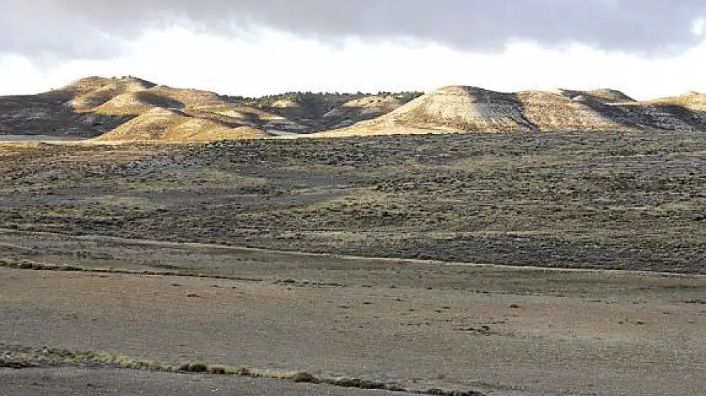 El monte los Vales de María, ubicado en el término municipal de María de Huerva.