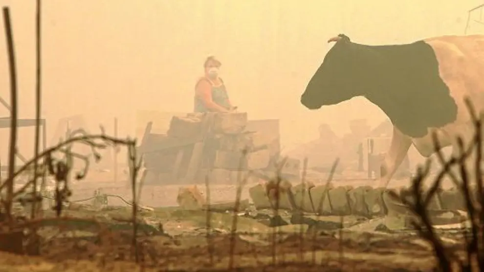 La sequía y los incendios han arrasado una cuarta parte de los cultivos de cereal en Rusia.