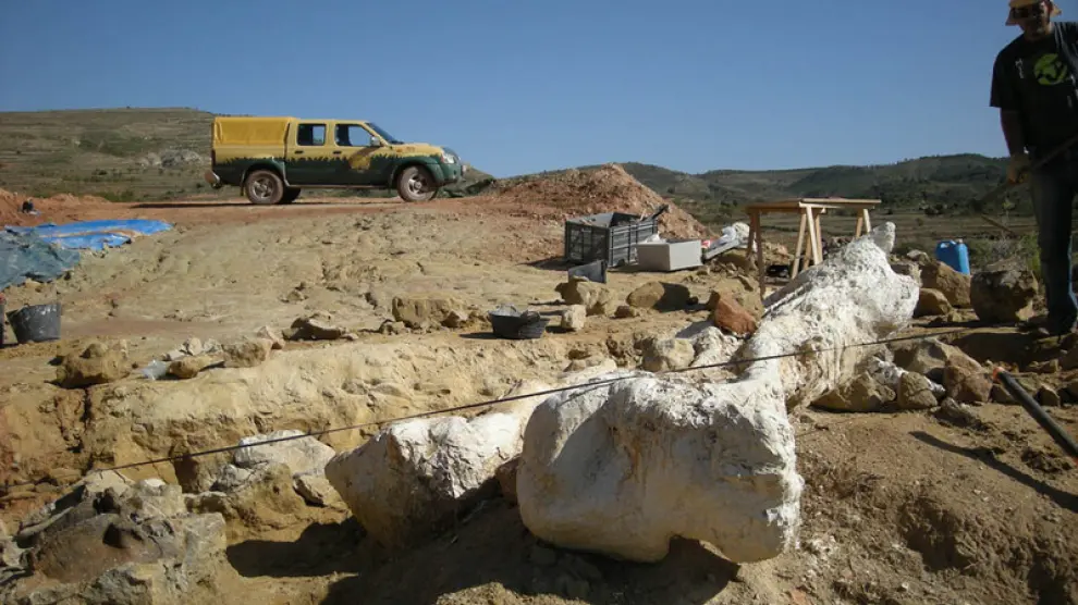 Hallazgo de un fémur de grandes dimensiones en el yacimiento de Barrihonda (Teruel)