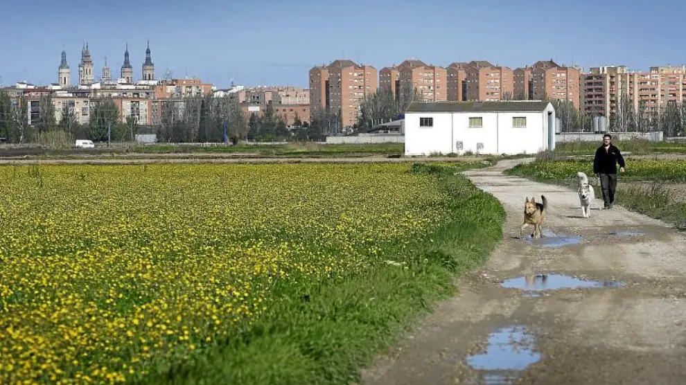 Imagen de la huerta de Las Fuentes, donde el Ayuntamiento quiere construir unas 2.700 viviendas.