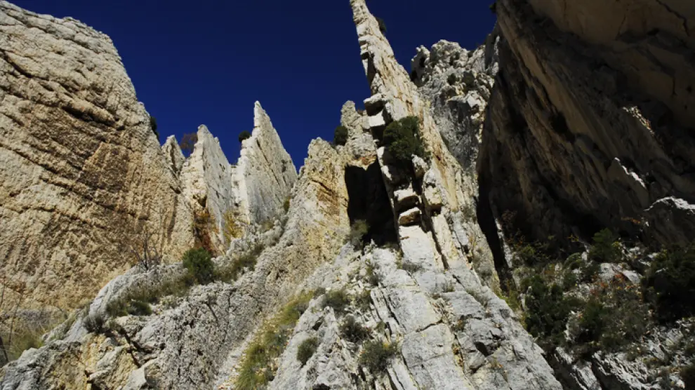 Pliegues geológicos en vertical y crestas de rocas calizas en los Estrechos de La Aldehuela