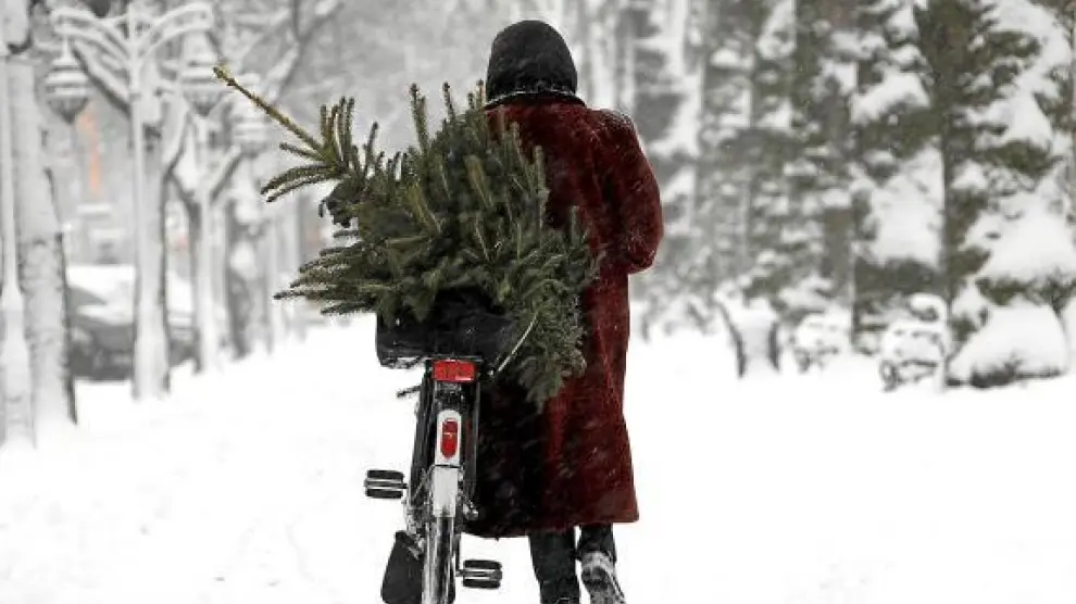 Una mujer transporta en bicicleta un árbol de Navidad a través de un paraje nevado, en Alemania.