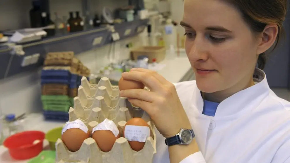 Estudio de los huevos contaminados por dioxina.