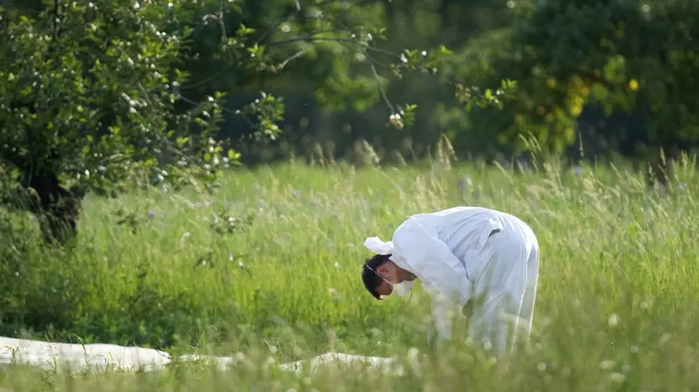 Autoridades sanitarias buscan pistas del brote en una granje a 300 kilómetros de Berlín